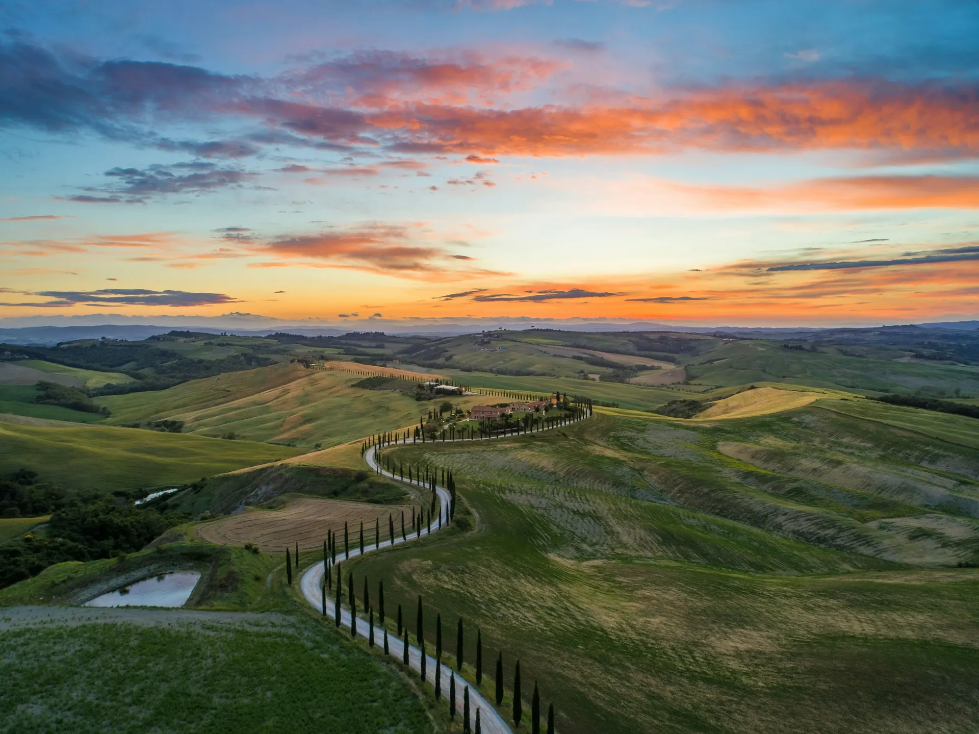Cypress-lined hills in the Italian countryside