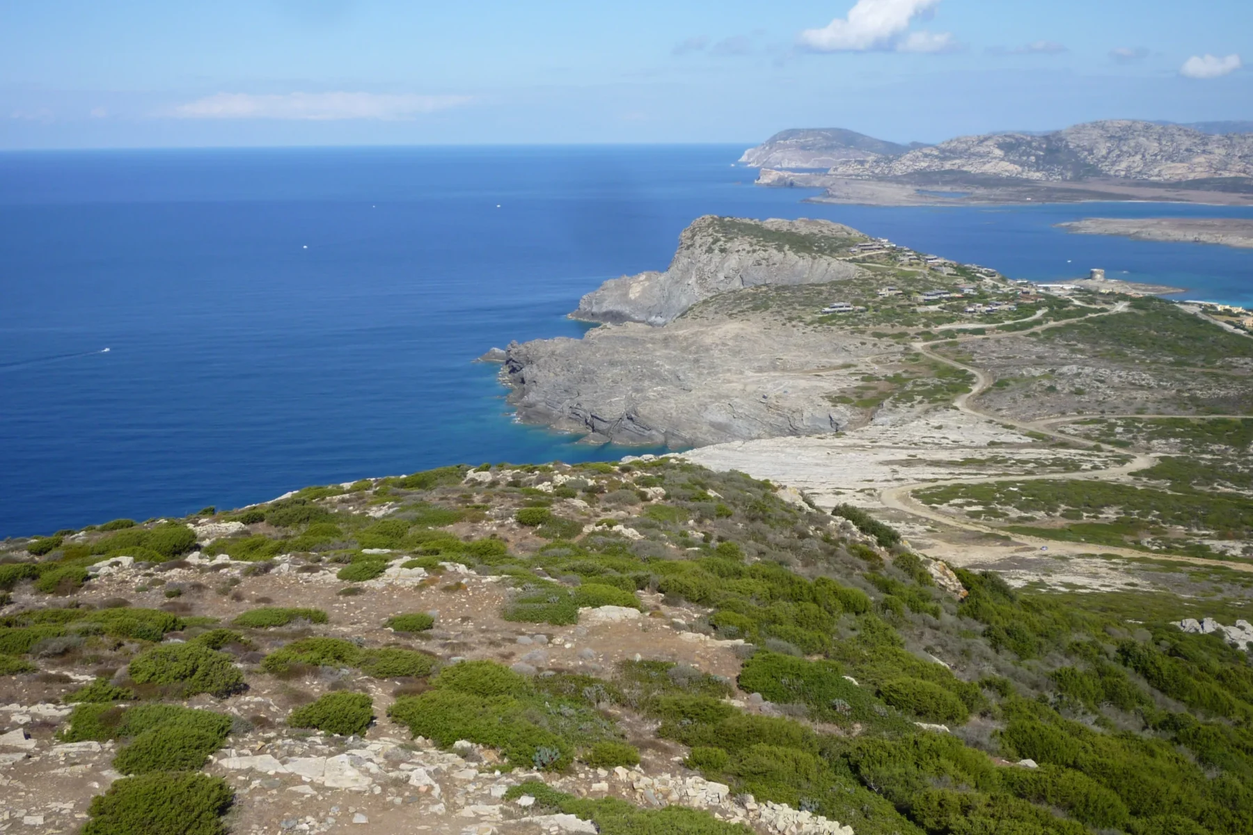 Asinara — demo tour image 1