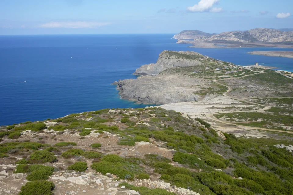 Demo — Asinara Private Highlights Tour