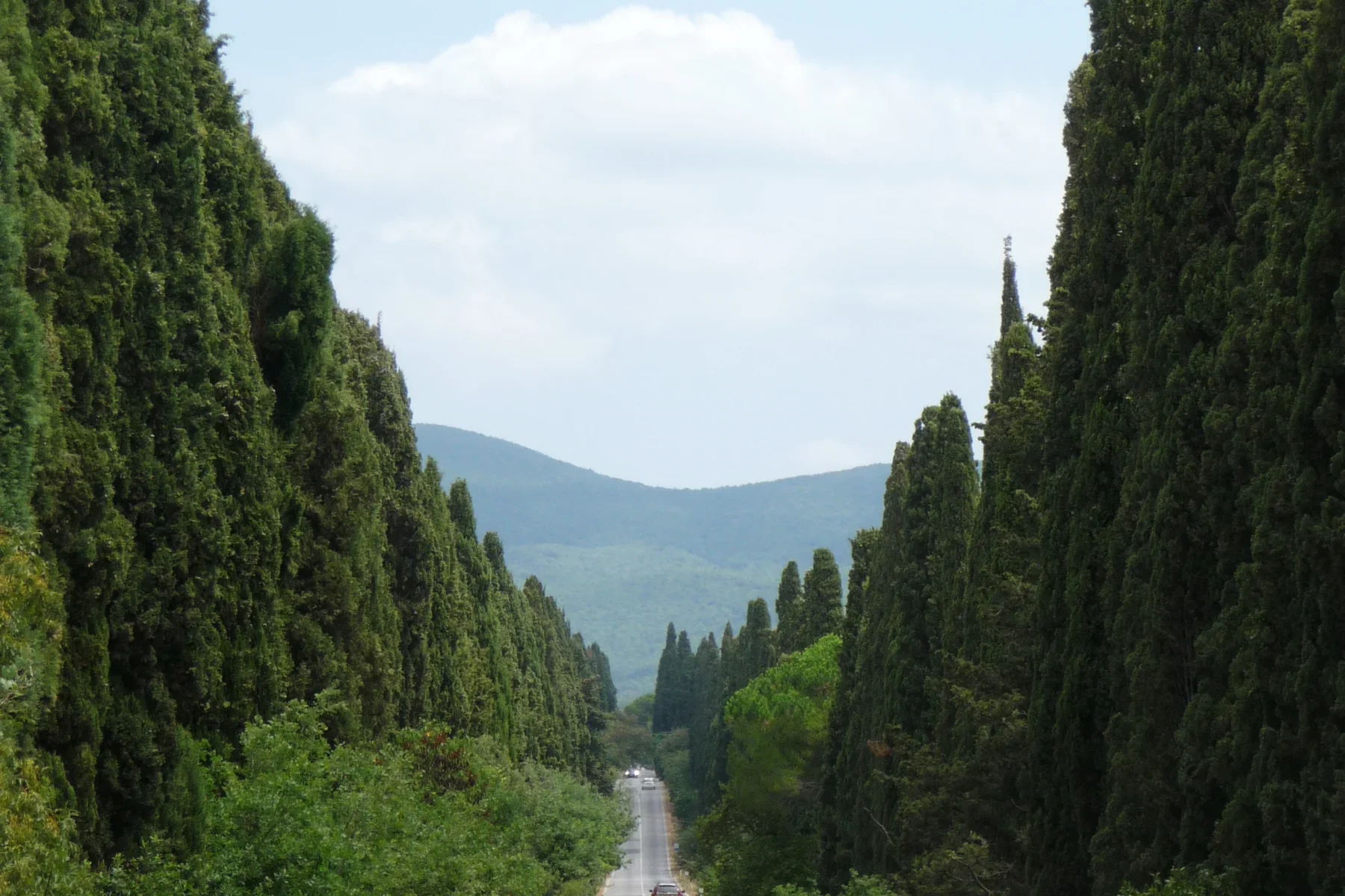 Bolgheri — demo tour image 1