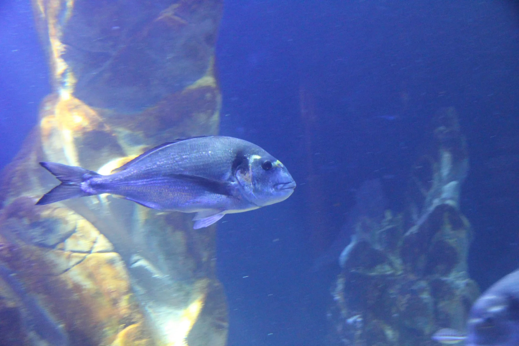Cala Gonone — demo tour image 1