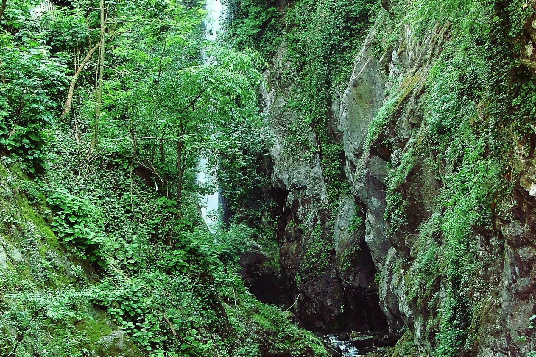 Nesso — demo tour image 1
