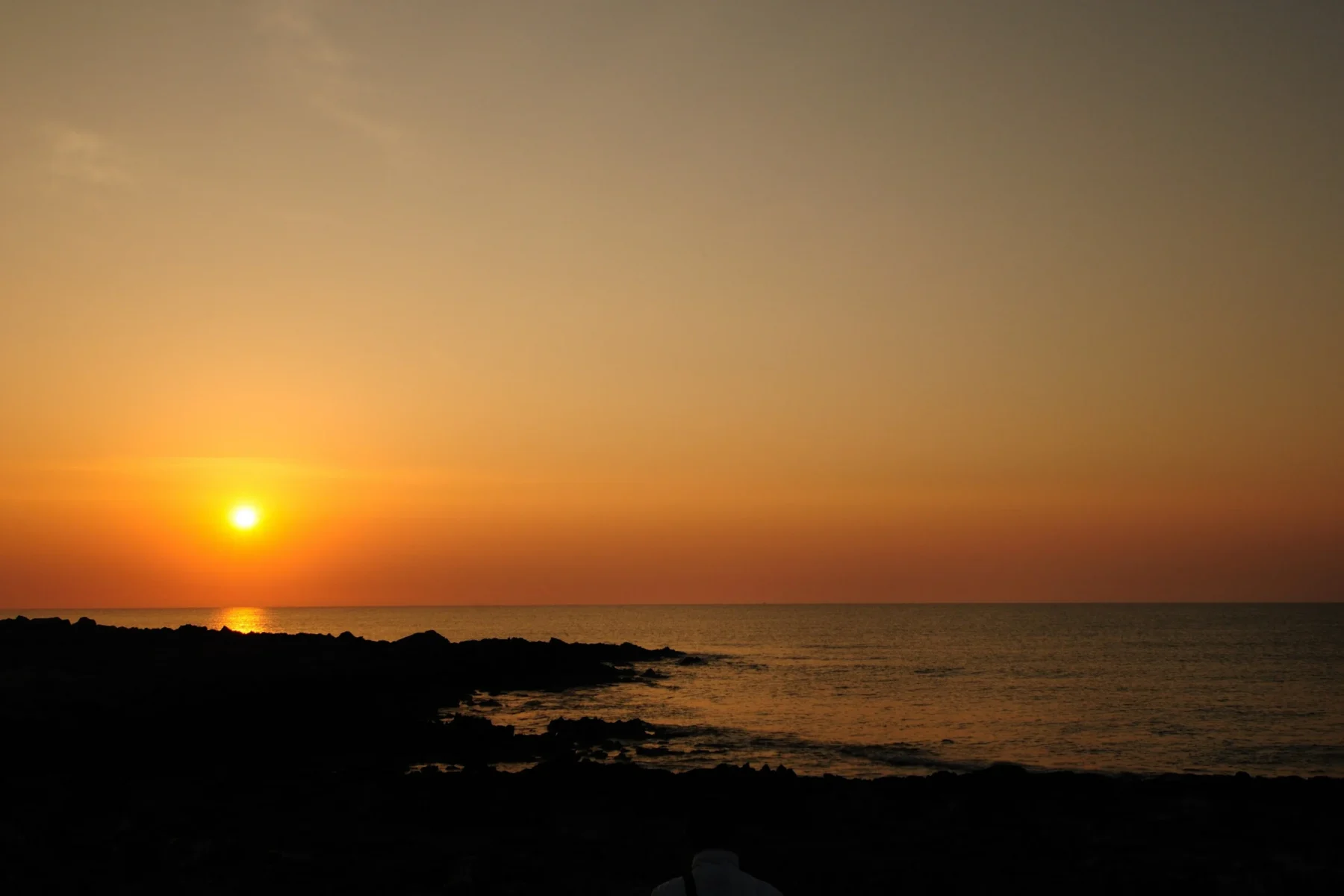 Noto — demo tour image 1